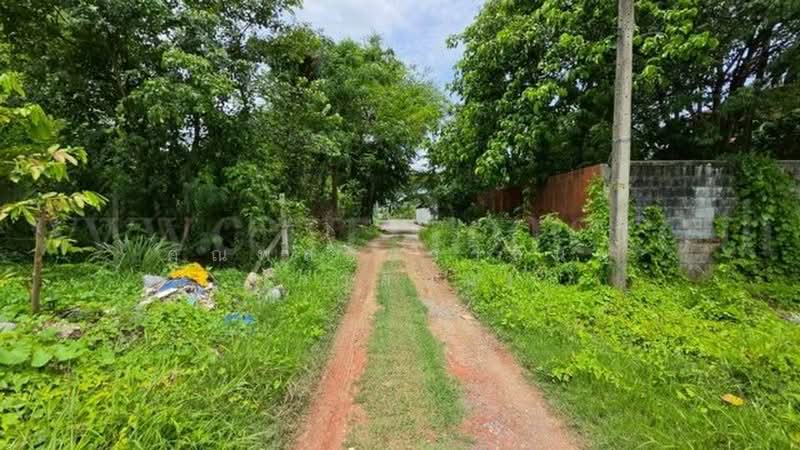 ซอยทวีวัฒนา 43, Bangkok, ทวีวัฒนา, Sala Thammasop, Thawi Watthana, Bangkok, , 500 sqm, Land For Sale, by คุณพลอยวาลินน์ (วาลินน์), 500405210 - DDproperty.com
