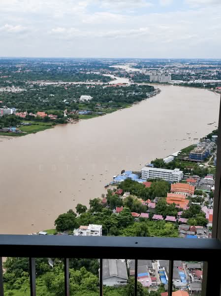 เดอะ โพลิแทน อควา, นนทบุรี, 15 Nonthaburi, บางกระสอ, เมืองนนทบุรี, นนทบุรี, 29 ตร.ม., คอนโด ให้เช่า, โดย Cat Real Estate (Thailand) Co., Ltd., 500405310 - DDproperty.com