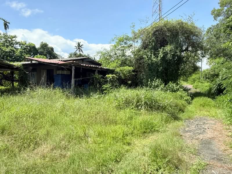 ที่ดินแหลมสิงห์ จันทบุรี, Chanthaburi, Bang Kachai, Laem Sing, Chanthaburi, , 3,428 sqm, Land For Sale, by The Best Property เมญ่า, 500405331 - DDproperty.com
