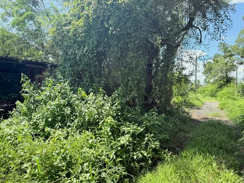 ที่ดินแหลมสิงห์ จันทบุรี, Chanthaburi, Bang Kachai, Laem Sing, Chanthaburi, , 3,428 sqm, Land For Sale, by The Best Property เมญ่า, 500405331 - DDproperty.com