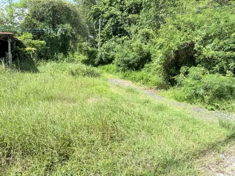 ที่ดินแหลมสิงห์ จันทบุรี, Chanthaburi, Bang Kachai, Laem Sing, Chanthaburi, , 3,428 sqm, Land For Sale, by The Best Property เมญ่า, 500405331 - DDproperty.com