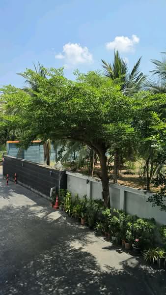 D5 Condo, Bangkok, Nuan Chan, Bueng Kum, Bangkok, 1 Bedroom, 31 sqm, Condo For Rent, by Ulaiwan Boonsiri, 500405363 - DDproperty.com