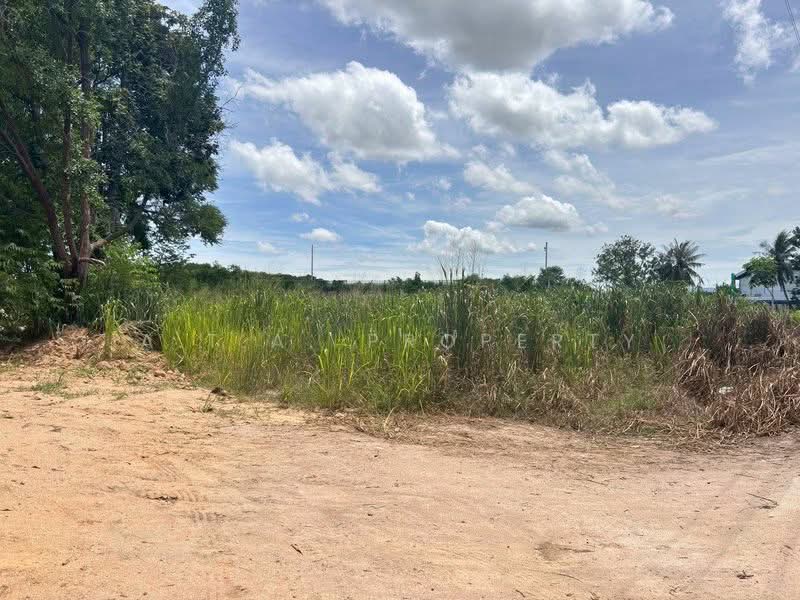 ที่ดินผังสีม่วงลาย หนองขาม ศรีราชา, Chon Buri (Pattaya), Nong - Kham, Si Racha, Chon Buri (Pattaya), , 25,772 sqm, Land For Sale, by A.T.A. Property, 500405561 - DDproperty.com