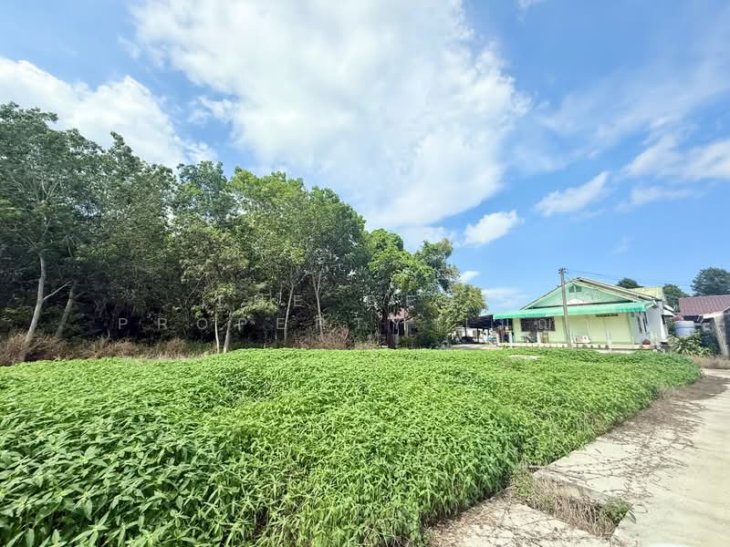 ที่ดินเพ ระยอง, ระยอง, เพ, เมืองระยอง, ระยอง, 2,437 ตร.ม., ที่ดิน ขาย, โดย The Best Property เมญ่า, 500405571 - DDproperty.com