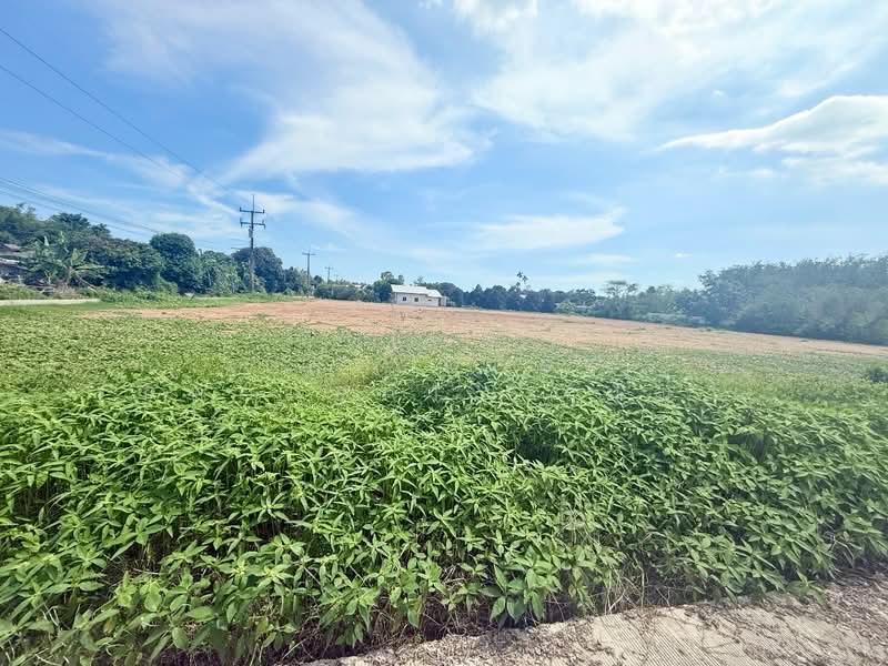 ที่ดินเพ ระยอง, Rayong, Phe, Muang Rayong, Rayong, , 2,437 sqm, Land For Sale, by The Best Property เมญ่า, 500405571 - DDproperty.com