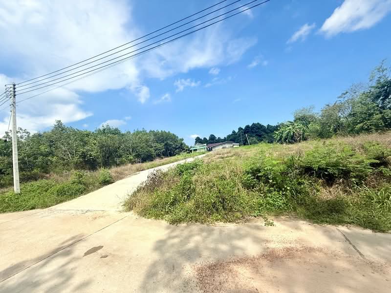 ที่ดินเพ ระยอง, ระยอง, เพ, เมืองระยอง, ระยอง, 2,437 ตร.ม., ที่ดิน ขาย, โดย The Best Property เมญ่า, 500405571 - DDproperty.com