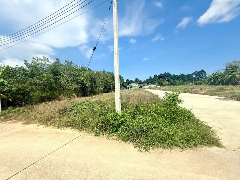 ที่ดินเพ ระยอง, Rayong, Phe, Muang Rayong, Rayong, , 2,437 sqm, Land For Sale, by The Best Property เมญ่า, 500405571 - DDproperty.com