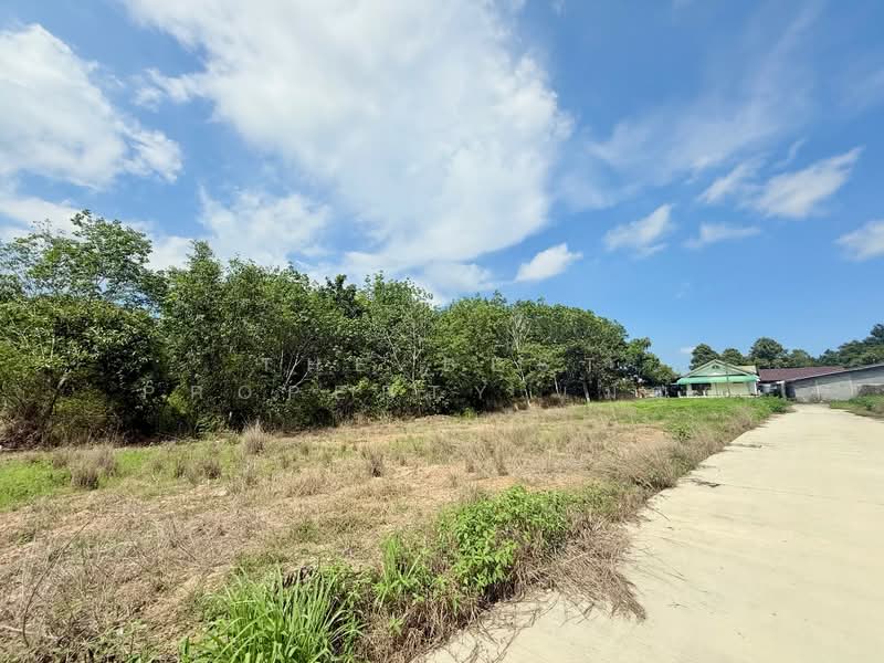 ที่ดินเพ ระยอง, ระยอง, เพ, เมืองระยอง, ระยอง, 2,437 ตร.ม., ที่ดิน ขาย, โดย The Best Property เมญ่า, 500405571 - DDproperty.com