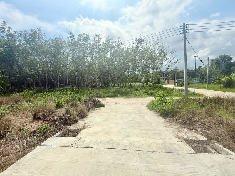 ที่ดินเพ ระยอง, Rayong, Phe, Muang Rayong, Rayong, , 2,437 sqm, Land For Sale, by The Best Property เมญ่า, 500405571 - DDproperty.com