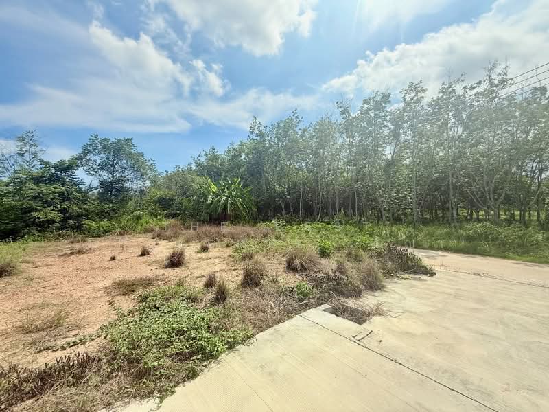 ที่ดินเพ ระยอง, Rayong, Phe, Muang Rayong, Rayong, , 2,437 sqm, Land For Sale, by The Best Property เมญ่า, 500405571 - DDproperty.com