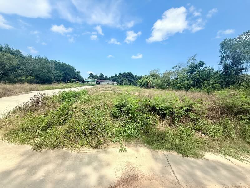 ที่ดินเพ ระยอง, ระยอง, เพ, เมืองระยอง, ระยอง, 2,437 ตร.ม., ที่ดิน ขาย, โดย The Best Property เมญ่า, 500405571 - DDproperty.com