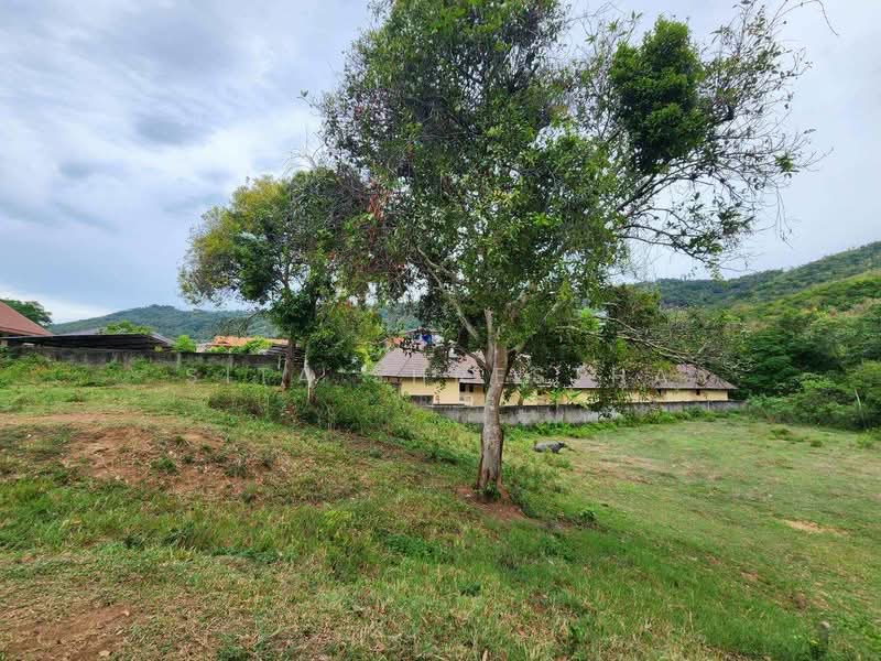 วิลล่า 3-ห้องนอน, สุราษฎร์ธานี, บ่อผุด, เกาะสมุย, สุราษฎร์ธานี, 204 ตร.ม., วิลล่า ขาย, โดย Sita Shrestha, 500405572 - DDproperty.com