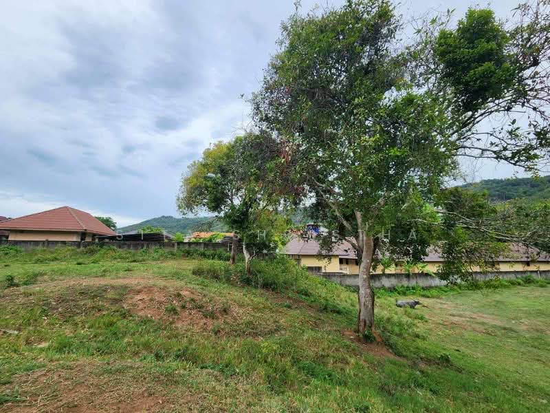 วิลล่า 3-ห้องนอน, สุราษฎร์ธานี, บ่อผุด, เกาะสมุย, สุราษฎร์ธานี, 204 ตร.ม., วิลล่า ขาย, โดย Sita Shrestha, 500405572 - DDproperty.com