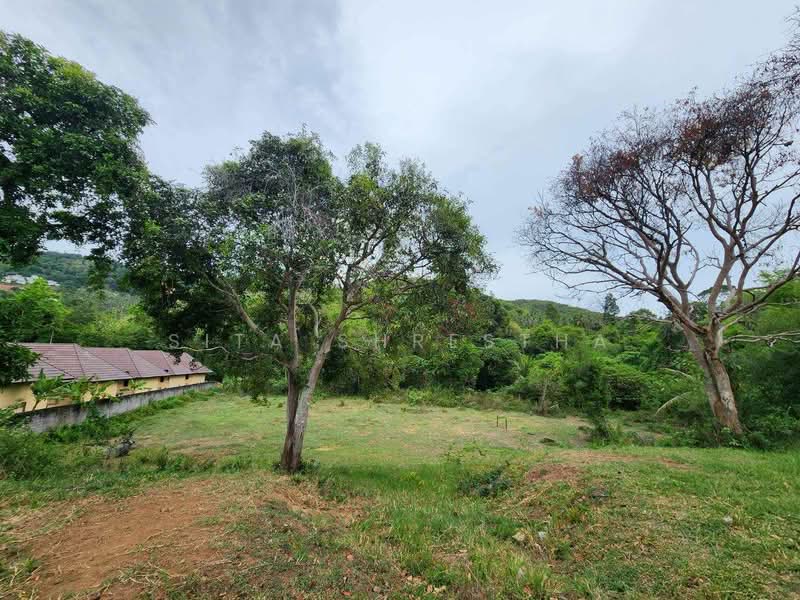 วิลล่า 3-ห้องนอน, สุราษฎร์ธานี, บ่อผุด, เกาะสมุย, สุราษฎร์ธานี, 204 ตร.ม., วิลล่า ขาย, โดย Sita Shrestha, 500405572 - DDproperty.com