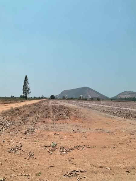 ที่ดิน กาญจนบุรี 42 ไร่, Kanchanaburi, Rang Wai, Phanom Thuan, Kanchanaburi, , 67,660 sqm, Land For Sale, by Nissita Jitreengam, 500405635 - DDproperty.com