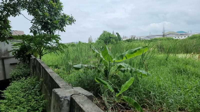 Land in Bang Na, Bang Phli District, Samut Prakan Province, Samut Prakan, Rachathewa, Bang Plee, Samut Prakan, , 2,588 sqm, Land For Sale, by พัชรินทร์ พิศาลไพโรจน์, 500405650 - DDproperty.com