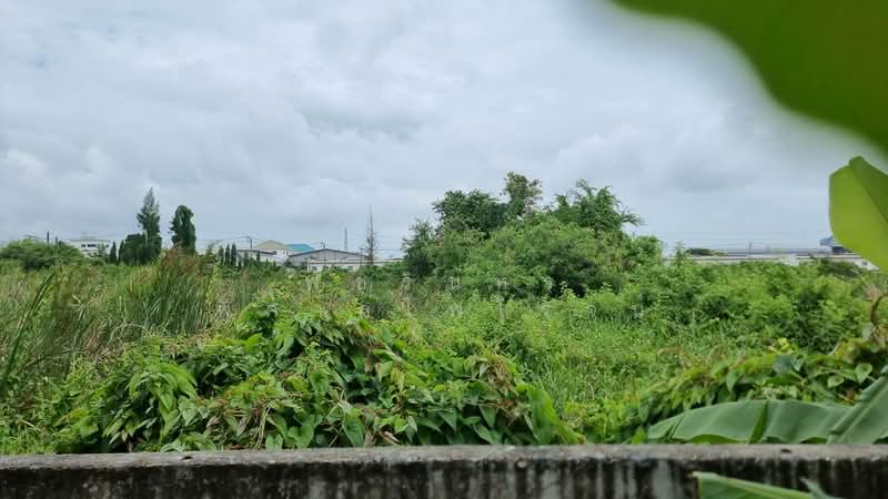 Land in Bang Na, Bang Phli District, Samut Prakan Province, Samut Prakan, Rachathewa, Bang Plee, Samut Prakan, , 2,588 sqm, Land For Sale, by พัชรินทร์ พิศาลไพโรจน์, 500405650 - DDproperty.com