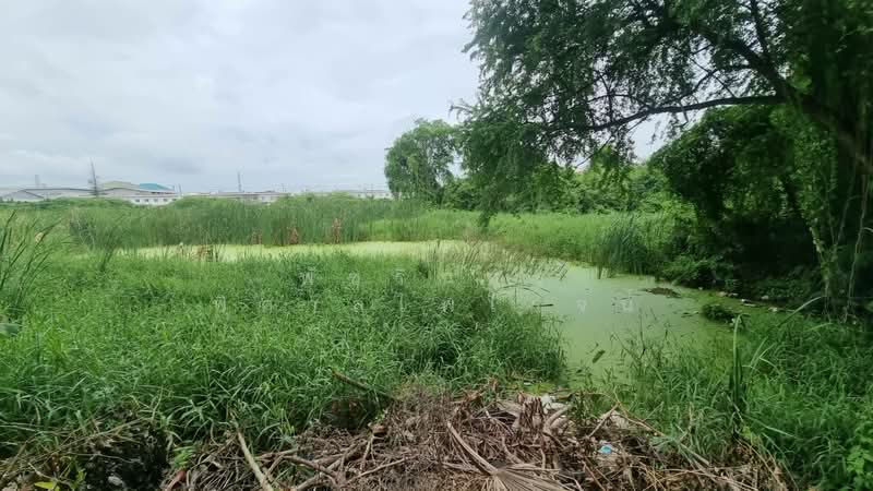 Land in Bang Na, Bang Phli District, Samut Prakan Province, Samut Prakan, Rachathewa, Bang Plee, Samut Prakan, , 2,588 sqm, Land For Sale, by พัชรินทร์ พิศาลไพโรจน์, 500405650 - DDproperty.com