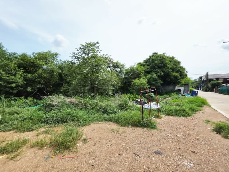 ที่ดินคลองหลวง ปทุมธานี, Pathum Thani, Khlong Sam, Khlong Luang, Pathum Thani, , 1,200 sqm, Land For Sale, by The Best Property บี, 500405705 - DDproperty.com