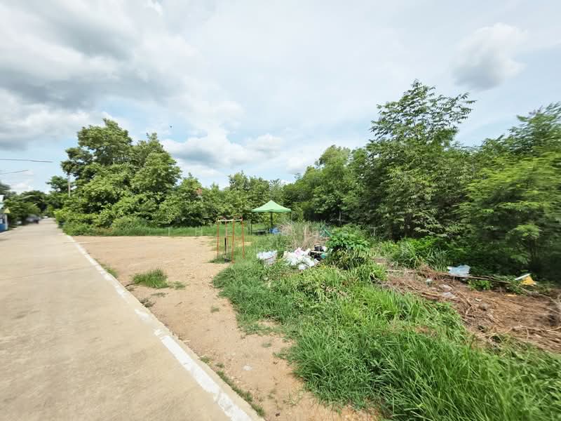 ที่ดินคลองหลวง ปทุมธานี, Pathum Thani, Khlong Sam, Khlong Luang, Pathum Thani, , 1,200 sqm, Land For Sale, by The Best Property บี, 500405705 - DDproperty.com