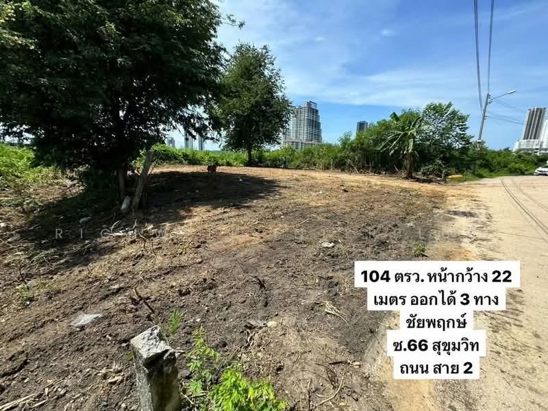 Land for sale in Nong Prue, Pattaya, beachfront, 104 sq.wa. Excellent location on Sukhumvit Pattaya, Chon Buri (Pattaya), Nong Pru, Bang Lamung (Pattaya), Chon Buri (Pattaya), , 416 sqm, Land For Sale, by RICHWELL INTERPLUS, 500405716 - DDproperty.com