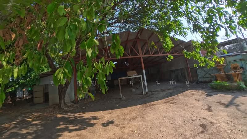 ที่ดินพร้อมโครงสร้างโรงงาน 1 ไร่ 66 ตารางวา | ต.ลาดสวาย อ.ลำลูกกา ปทุมธานี, Pathum Thani, Lat Sawai, Lam Luk Ka, Pathum Thani, , 500 sqm, Warehouse/Factory For Sale, by Sugunya Tantumnu, 500405728 - DDproperty.com