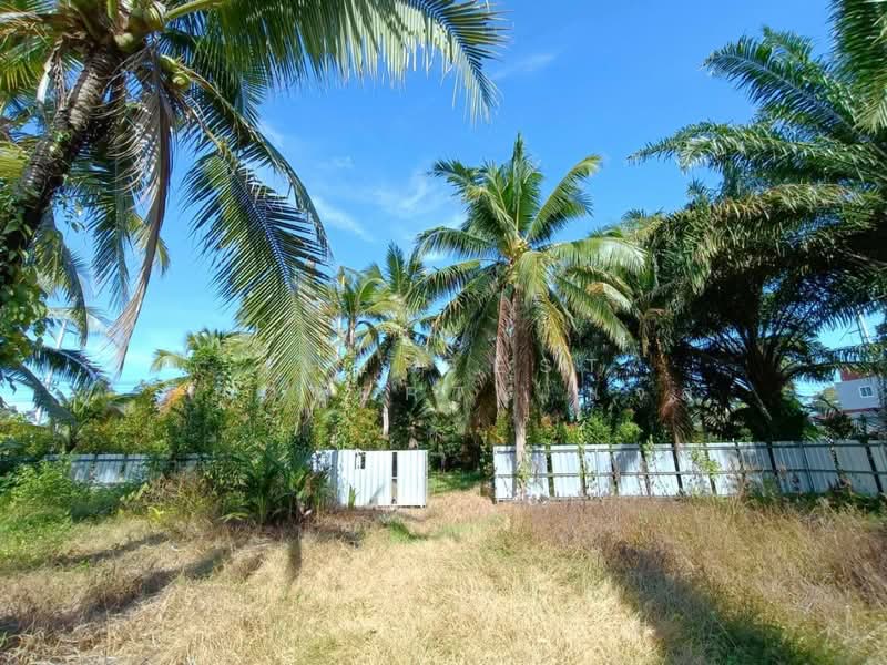 ที่ดินท่าศาลา นครศรีธรรมราช, Nakhon Si Thammarat, Tha Khun, Tha Sala, Nakhon Si Thammarat, , 2,450 sqm, Land For Sale, by The Best Property แจ๊ส, 500405797 - DDproperty.com
