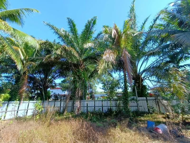 ที่ดินท่าศาลา นครศรีธรรมราช, Nakhon Si Thammarat, Tha Khun, Tha Sala, Nakhon Si Thammarat, , 2,450 sqm, Land For Sale, by The Best Property แจ๊ส, 500405797 - DDproperty.com