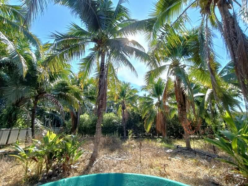 ที่ดินท่าศาลา นครศรีธรรมราช, Nakhon Si Thammarat, Tha Khun, Tha Sala, Nakhon Si Thammarat, , 2,450 sqm, Land For Sale, by The Best Property แจ๊ส, 500405797 - DDproperty.com