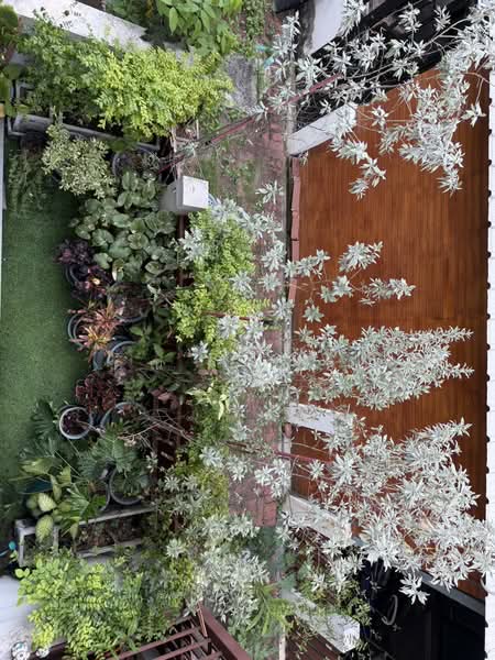Phasuksanti, Bangkok, Prawet, Bangkok, 3 Bedrooms, 81 sqm, Townhouse For Sale, by คุณ วิญากร, 500405857 - DDproperty.com