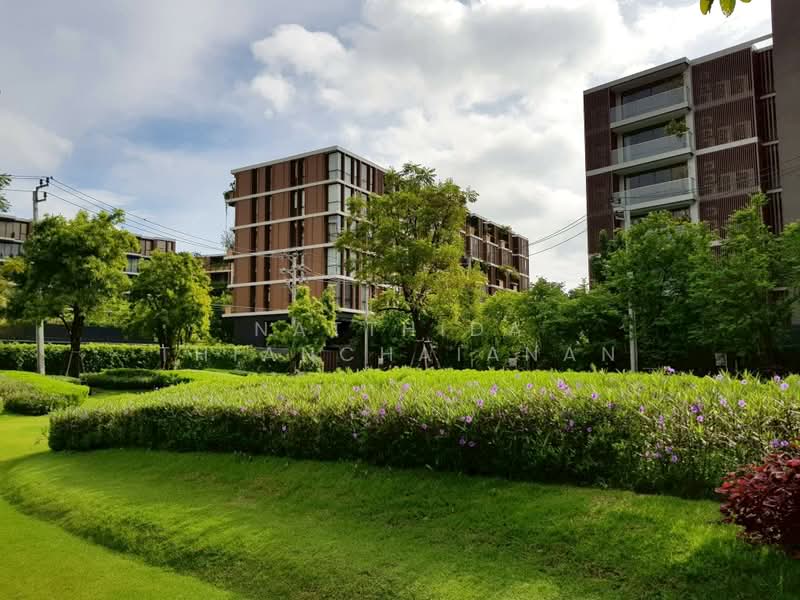 Mori Haus, Bangkok, Soi On Nut 1/1 Sukhumvit Road77, Phra Kanong Nua, Watthana, Bangkok, 1 Bedroom, 36 sqm, Condo For Rent, by Natthida Thianchaianan, 500405903 - DDproperty.com