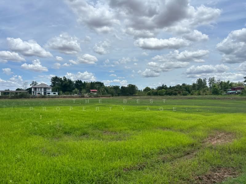 ที่ดินแวงใหญ่ ขอนแก่น, ขอนแก่น, ใหม่นาเพียง, แวงใหญ่, ขอนแก่น, 14,607 ตร.ม., ที่ดิน ขาย, โดย The Best Property Agent พร, 500405922 - DDproperty.com