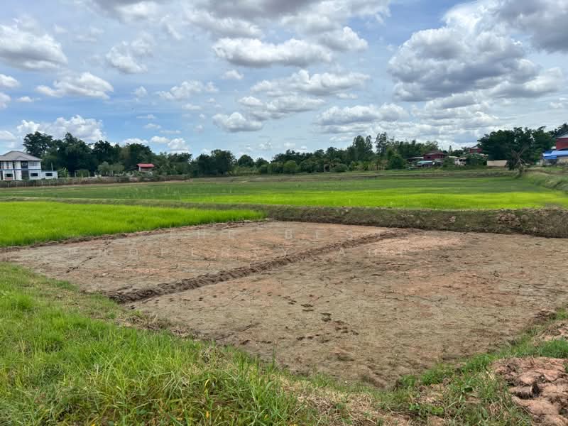 ที่ดินแวงใหญ่ ขอนแก่น, Khon Kaen, Mai Na Phiang, Waeng Yai, Khon Kaen, , 14,607 sqm, Land For Sale, by The Best Property Agent พร, 500405922 - DDproperty.com