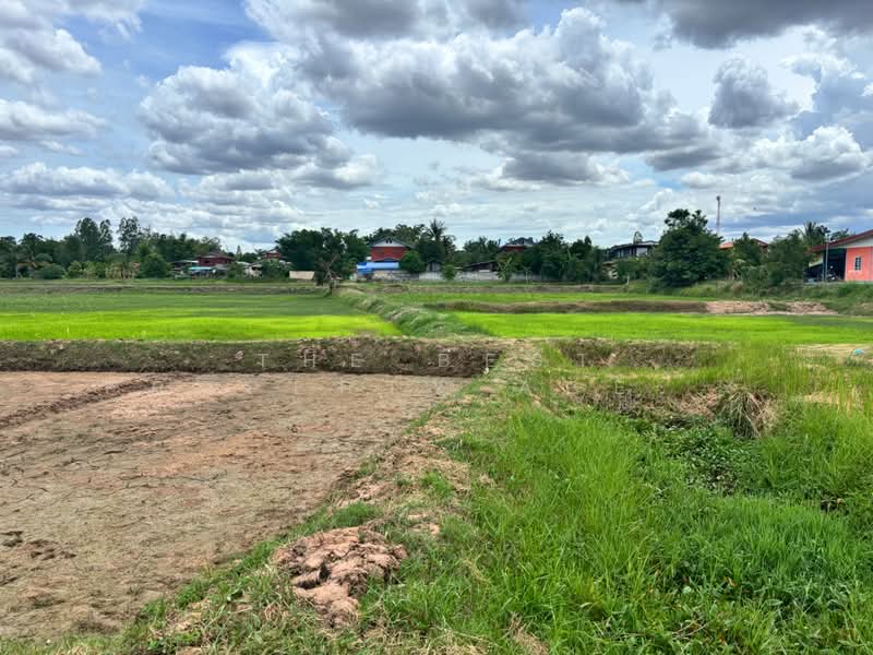 ที่ดินแวงใหญ่ ขอนแก่น, Khon Kaen, Mai Na Phiang, Waeng Yai, Khon Kaen, , 14,607 sqm, Land For Sale, by The Best Property Agent พร, 500405922 - DDproperty.com