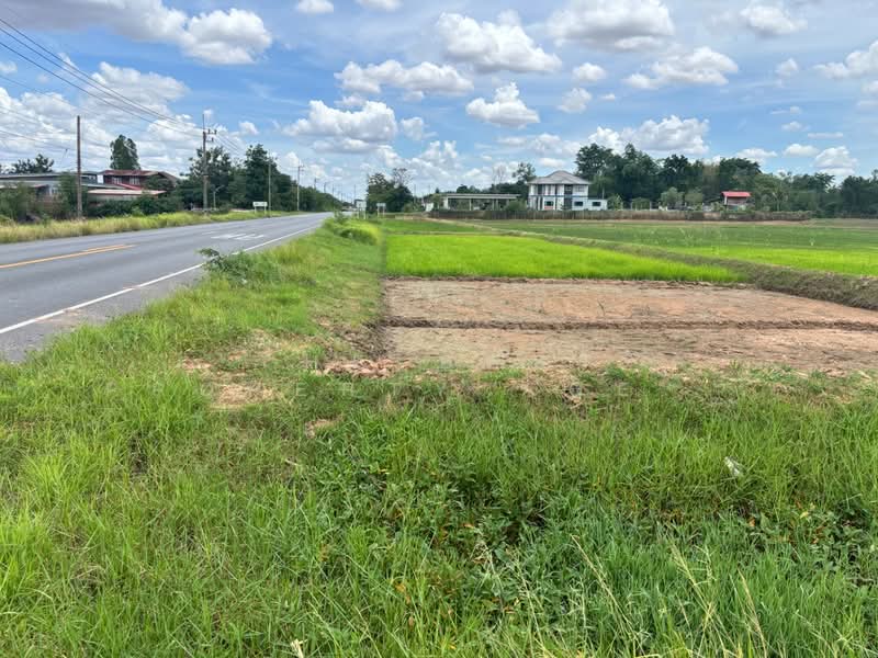 ที่ดินแวงใหญ่ ขอนแก่น, Khon Kaen, Mai Na Phiang, Waeng Yai, Khon Kaen, , 14,607 sqm, Land For Sale, by The Best Property Agent พร, 500405922 - DDproperty.com
