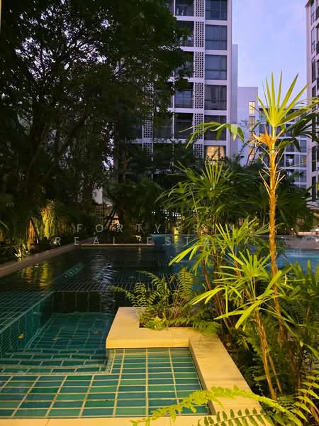 Chambers On-Nut Station, Bangkok, Soi Sukhumvit 81, Sukhumvit Road, Phra Kanong Nua, Watthana, Bangkok, 1 Bedroom, 37 sqm, Condo For Rent, by Forty-Six Real Estate Group, 500406094 - DDproperty.com