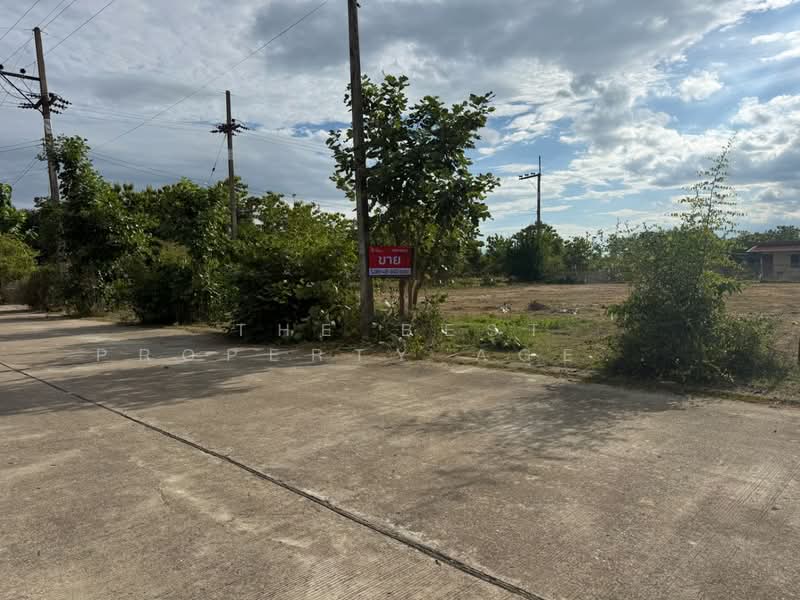 ที่ดินบ้านธิ ลำพูน, ลำพูน, ห้วยยาบ, บ้านธิ, ลำพูน, 2,024 ตร.ม., ที่ดิน ขาย, โดย The Best Property Agent บอย, 500406144 - DDproperty.com