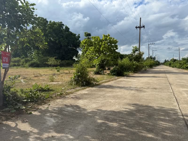 ที่ดินบ้านธิ ลำพูน, Lamphun, Huai Yap, Ban Thi, Lamphun, , 2,024 sqm, Land For Sale, by The Best Property Agent บอย, 500406144 - DDproperty.com