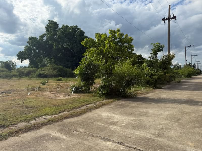 ที่ดินบ้านธิ ลำพูน, ลำพูน, ห้วยยาบ, บ้านธิ, ลำพูน, 2,024 ตร.ม., ที่ดิน ขาย, โดย The Best Property Agent บอย, 500406144 - DDproperty.com