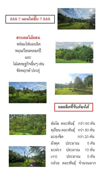 ขายที่ดินพร้อมรีสอร์ท นครนายก 27 ไร่ โฉนดครุฑแดง ติดถนนหลวง ใกล้เขื่อนขุนด่านปราการชล เหมาะลงทุน, นครนายก, หินตั้ง, เมืองนครนายก, นครนายก, 43,200 ตร.ม., ที่ดิน ขาย, โดย คุณ ศุภวัตน์, 500406169 - DDproperty.com