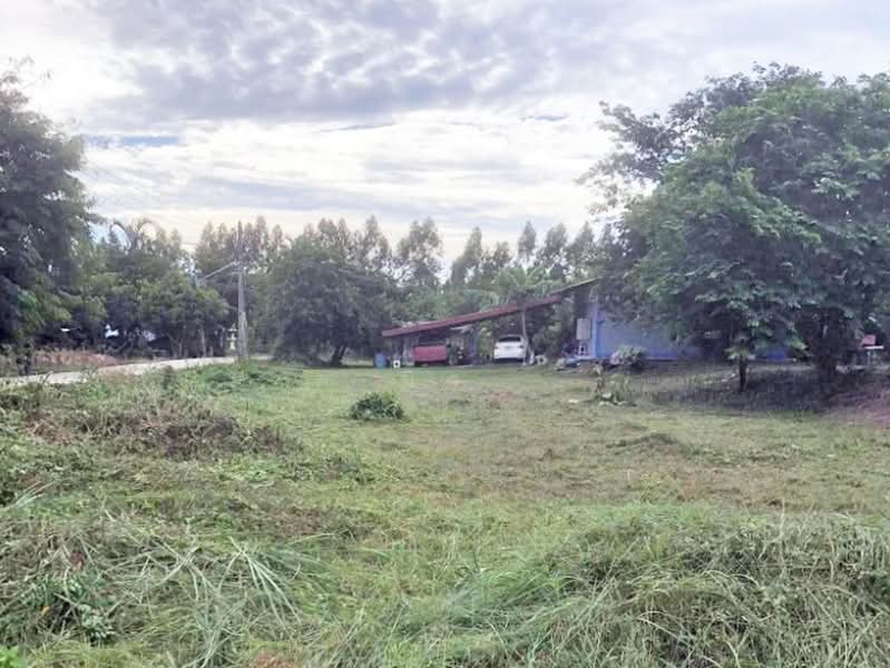 ที่ดินบางคล้า ฉะเชิงเทรา, Chachoengsao, Pak Nam, Bang Khla, Chachoengsao, , 2,340 sqm, Land For Sale, by นิว, 500406192 - DDproperty.com