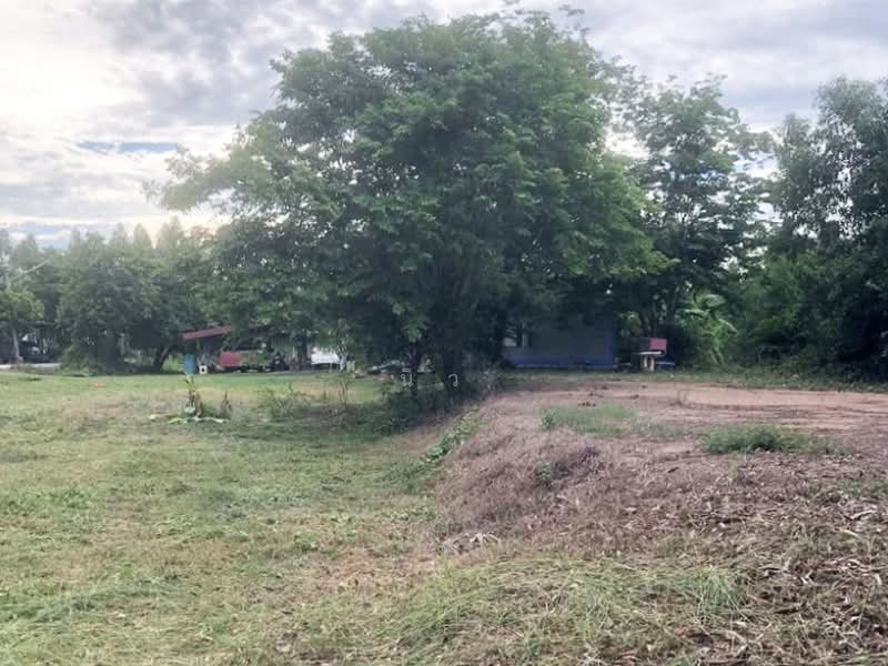 ที่ดินบางคล้า ฉะเชิงเทรา, Chachoengsao, Pak Nam, Bang Khla, Chachoengsao, , 2,340 sqm, Land For Sale, by นิว, 500406192 - DDproperty.com