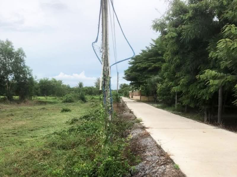 ที่ดินบางคล้า ฉะเชิงเทรา, Chachoengsao, Pak Nam, Bang Khla, Chachoengsao, , 2,340 sqm, Land For Sale, by นิว, 500406192 - DDproperty.com