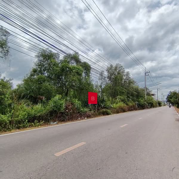 ที่ดินบ้านบ่อ สมุทรสาคร, สมุทรสาคร, บ้านบ่อ, เมืองสมุทรสาคร, สมุทรสาคร, 4,100 ตร.ม., ที่ดิน ให้เช่า, โดย The Best Property  โบว์, 500406237 - DDproperty.com