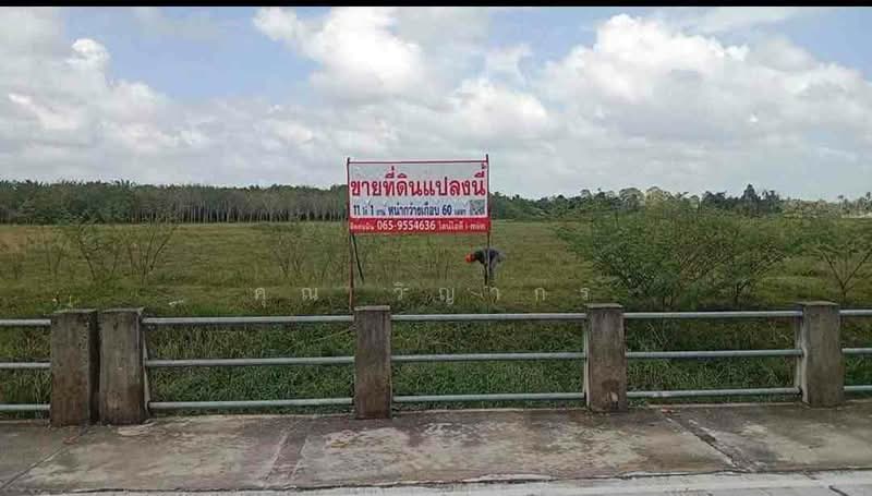 ขายที่ดินเปล่า ใกล้แหล่งรพ. ห้าง และโรงเรียน อำเภอเมืองนครศรีธรรมราช, Nakhon Si Thammarat, Mamuang Song Ton, Muang Nakhon Sri Thammarat, Nakhon Si Thammarat, , 17,600 sqm, Land For Sale, by คุณ วิญากร, 500406289 - DDproperty.com