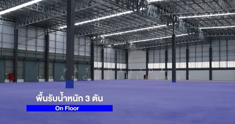 Free Zone Warehouse for Rent 1807 - 3500 sqm Bangna Trad, Chachoengsao, Bang Pakong, Chachoengsao, , 1,807 sqm, Warehouse/Factory For Rent, by Patchalida Chanchaisiriwet, 500406324 - DDproperty.com