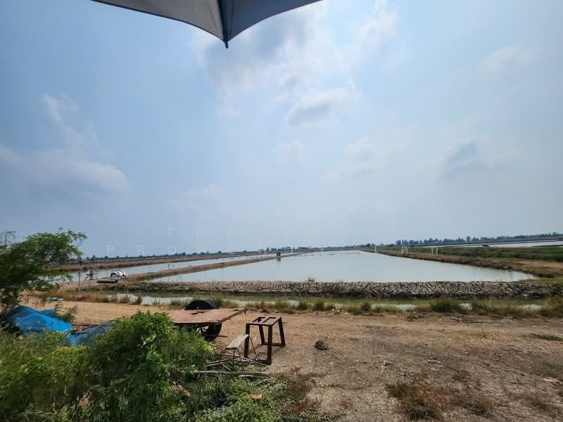 ที่ดินกำแพงแสน นครปฐม, นครปฐม, กระตีบ, กำแพงแสน, นครปฐม, 14,792 ตร.ม., ที่ดิน ขาย, โดย The Best Property เค้ก, 500406342 - DDproperty.com