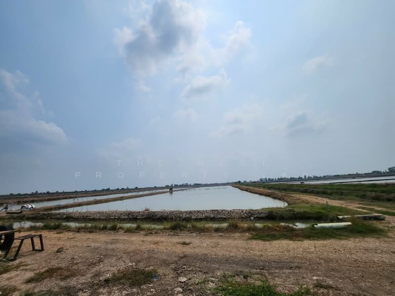 ที่ดินกำแพงแสน นครปฐม, นครปฐม, กระตีบ, กำแพงแสน, นครปฐม, 14,792 ตร.ม., ที่ดิน ขาย, โดย The Best Property เค้ก, 500406342 - DDproperty.com