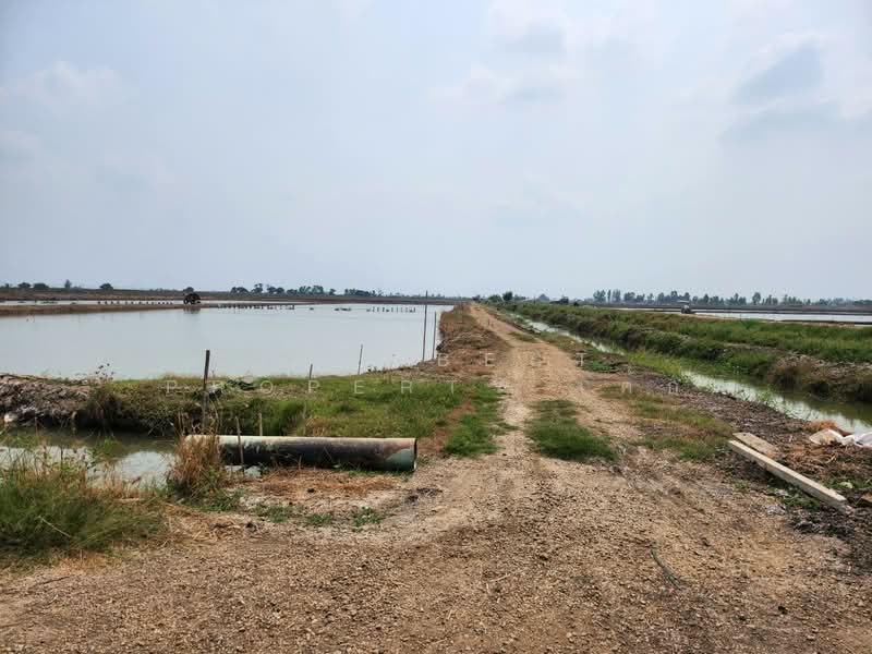 ที่ดินกำแพงแสน นครปฐม, Nakhon Pathom, Kra Tip, Kamphaeng Saen, Nakhon Pathom, , 14,792 sqm, Land For Sale, by The Best Property เค้ก, 500406342 - DDproperty.com