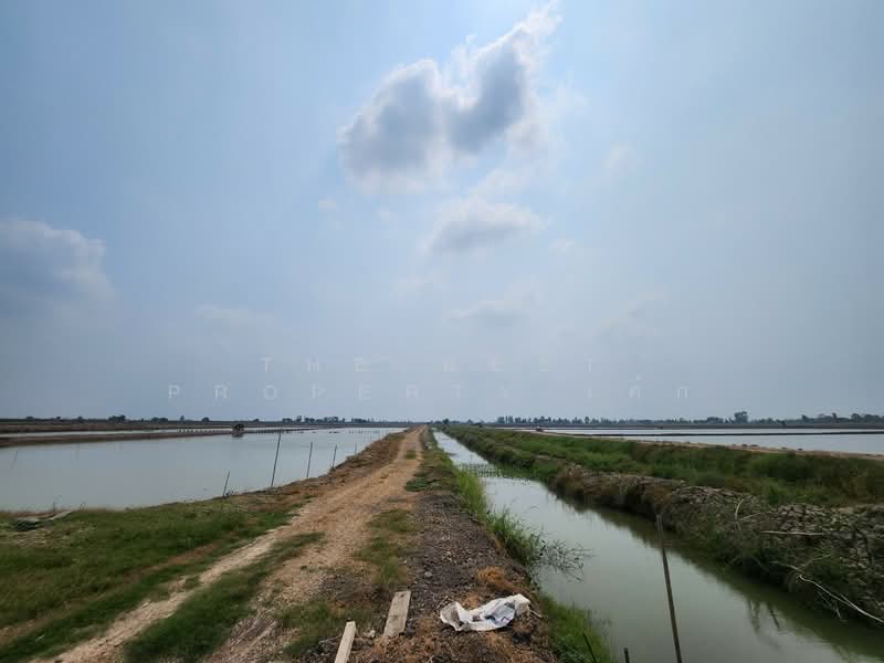 ที่ดินกำแพงแสน นครปฐม, นครปฐม, กระตีบ, กำแพงแสน, นครปฐม, 14,792 ตร.ม., ที่ดิน ขาย, โดย The Best Property เค้ก, 500406342 - DDproperty.com
